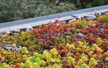 the cost of Waulkmills green roof installation