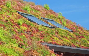Waulkmills living roof systems