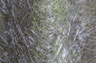 Waulkmills fibreglass roof work